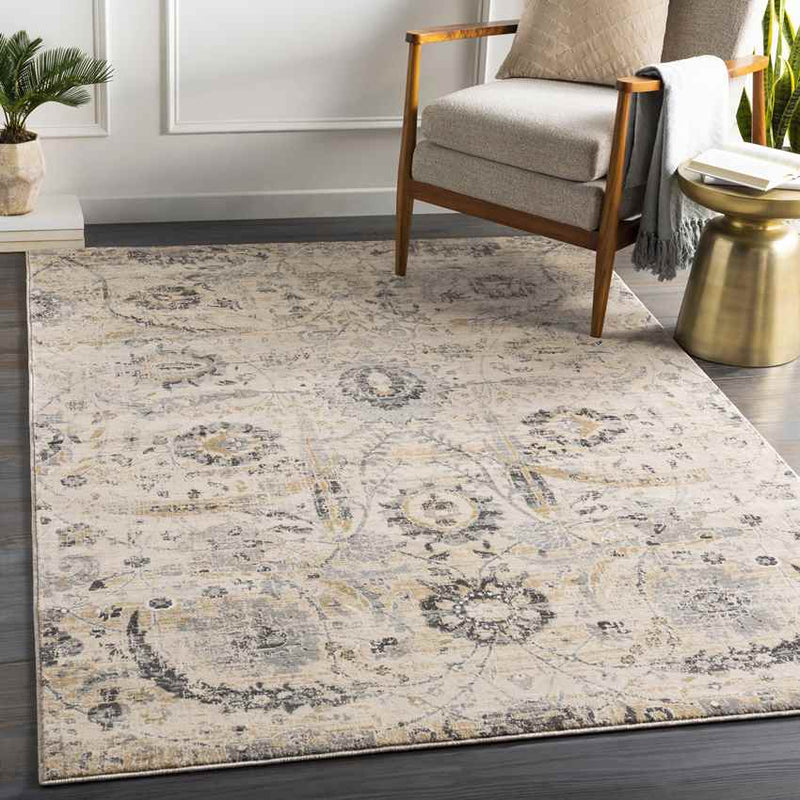 Avellino Traditional Beige Area Rug