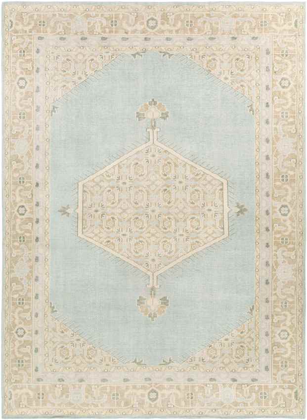 Chieti Traditional Sage Area Rug