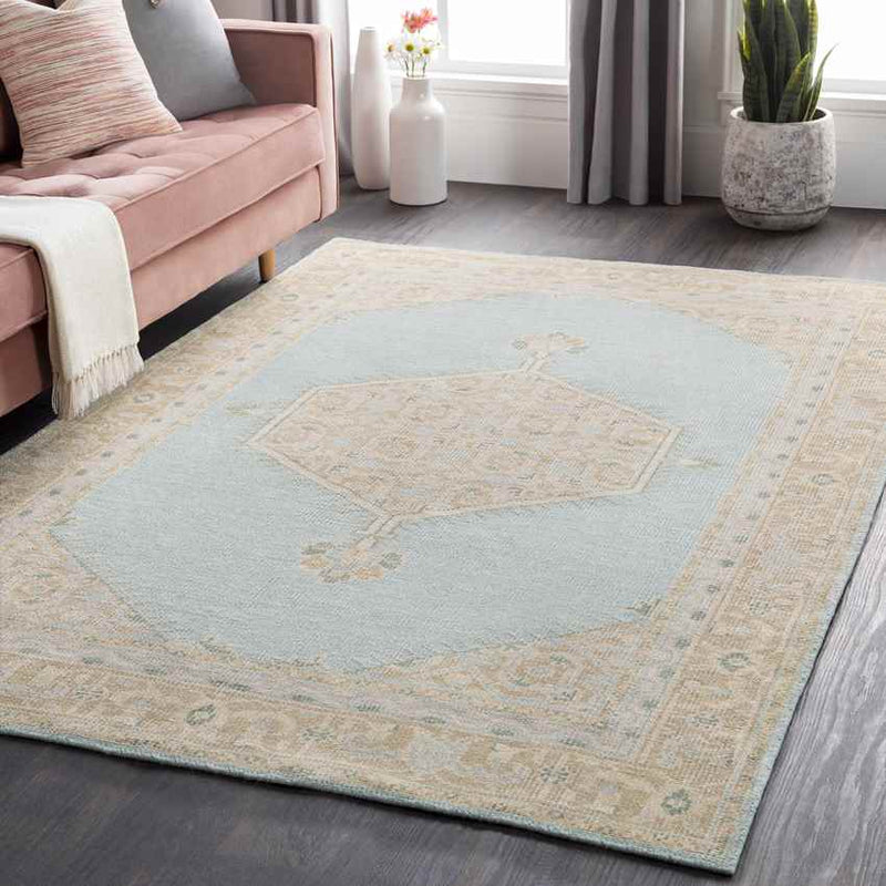 Chieti Traditional Sage Area Rug