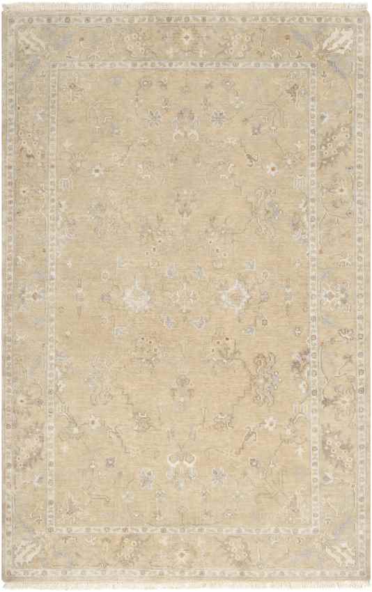 Campania Traditional Beige Area Rug