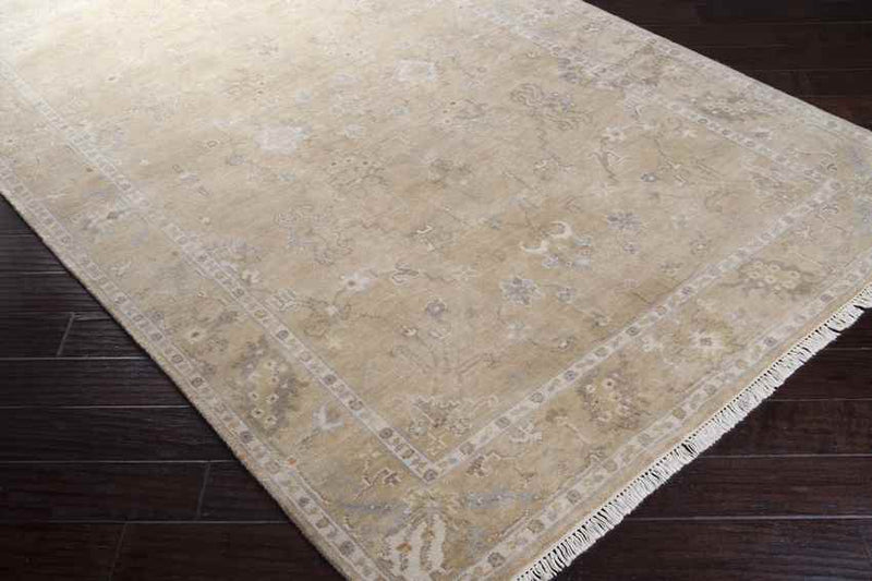 Campania Traditional Beige Area Rug