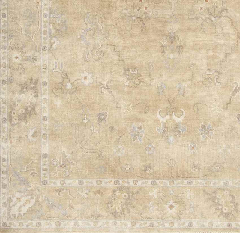 Campania Traditional Beige Area Rug