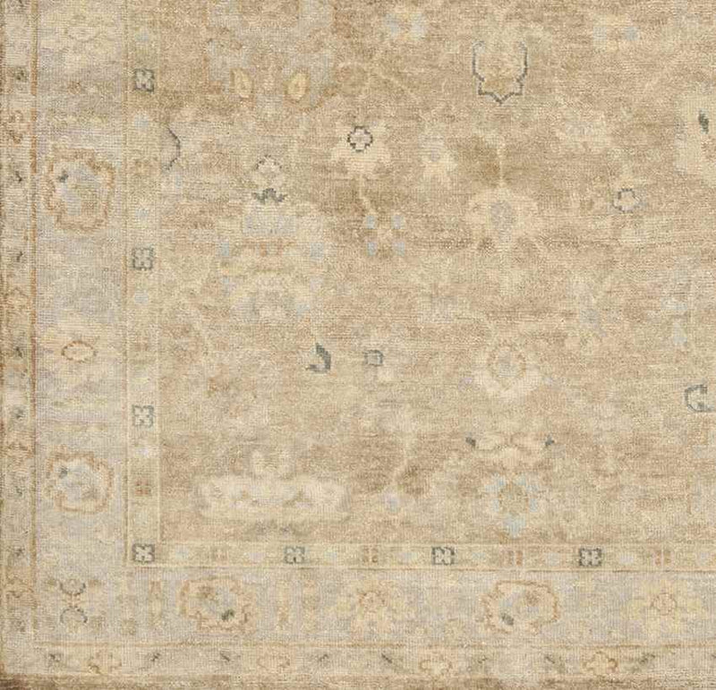 Piedmont Traditional Pale Blue Area Rug