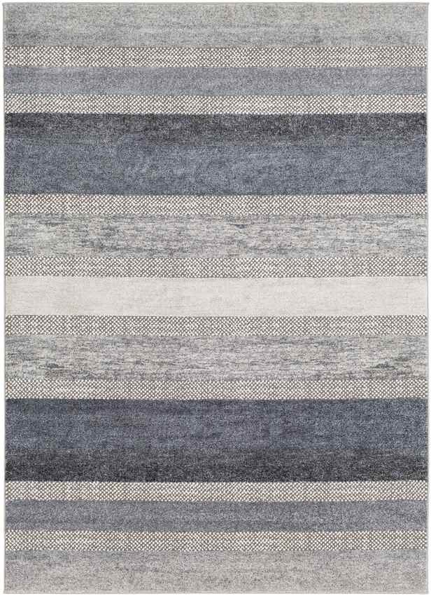 Bailey Modern Medium Gray Area Rug