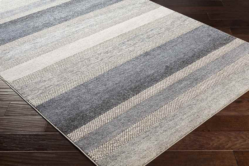 Bailey Modern Medium Gray Area Rug