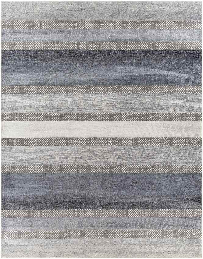 Bailey Modern Medium Gray Area Rug