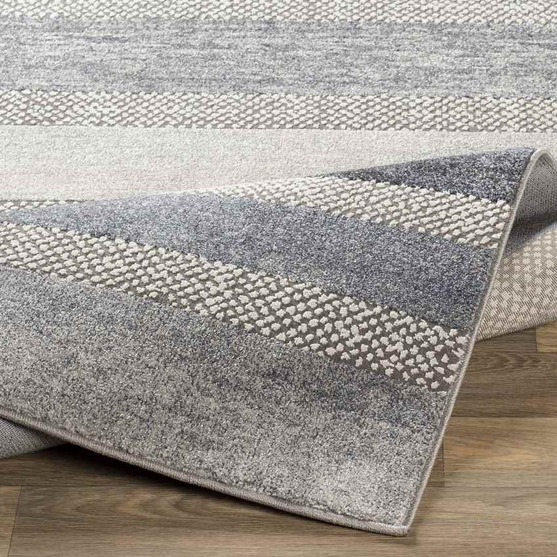 Bailey Modern Medium Gray Area Rug