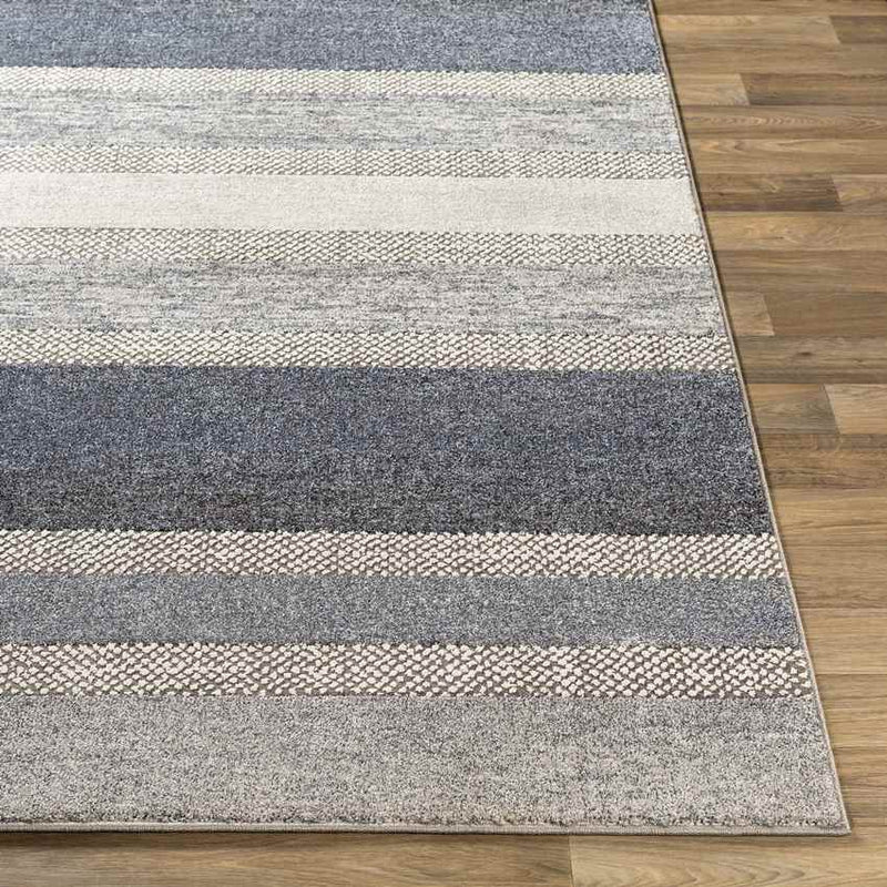 Bailey Modern Medium Gray Area Rug