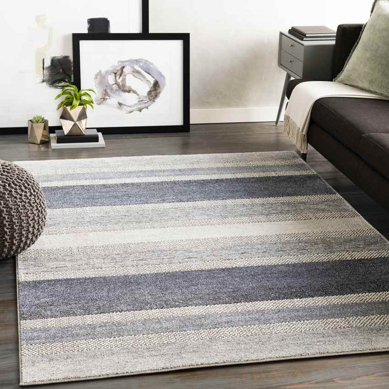 Bailey Modern Medium Gray Area Rug