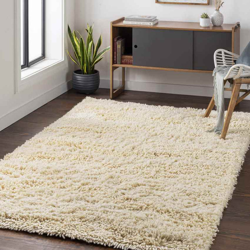 Bernadette Modern Cream Area Rug