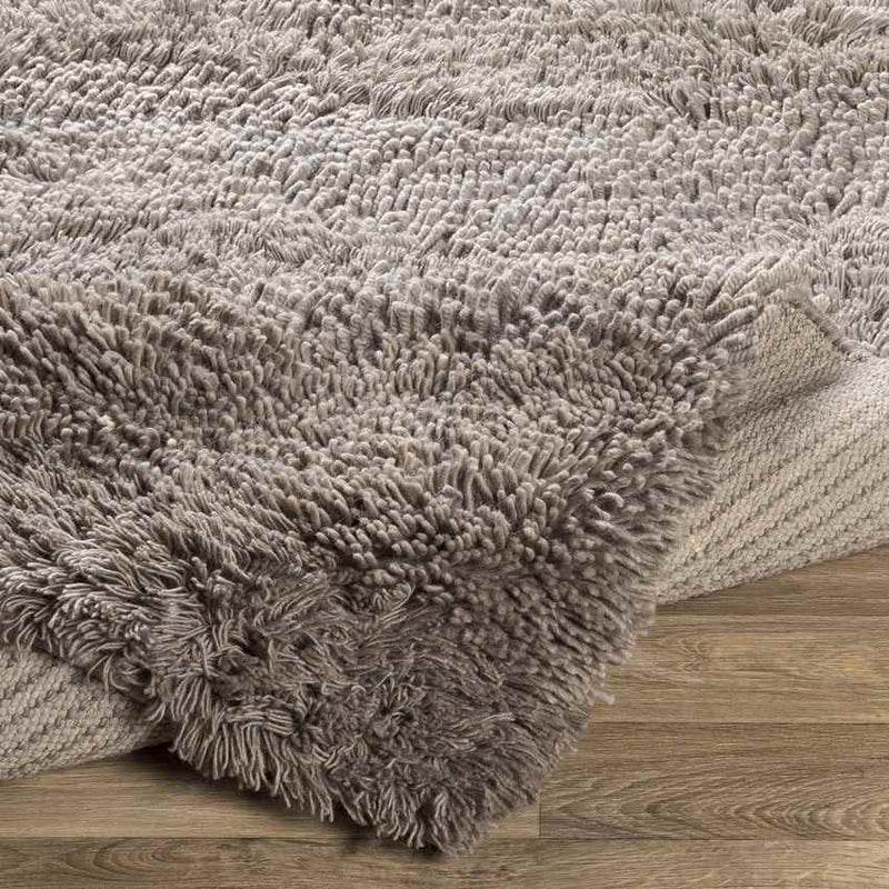 Caroline Modern Taupe Area Rug