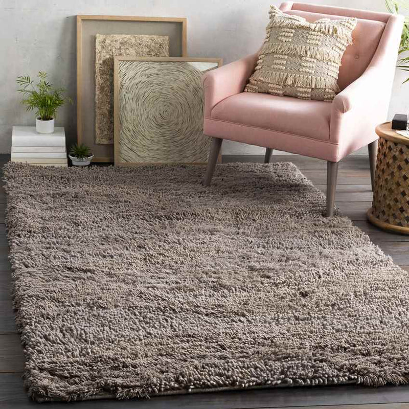 Caroline Modern Taupe Area Rug