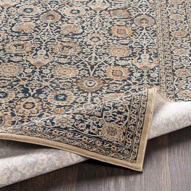 Darcie Traditional Ink Area Rug