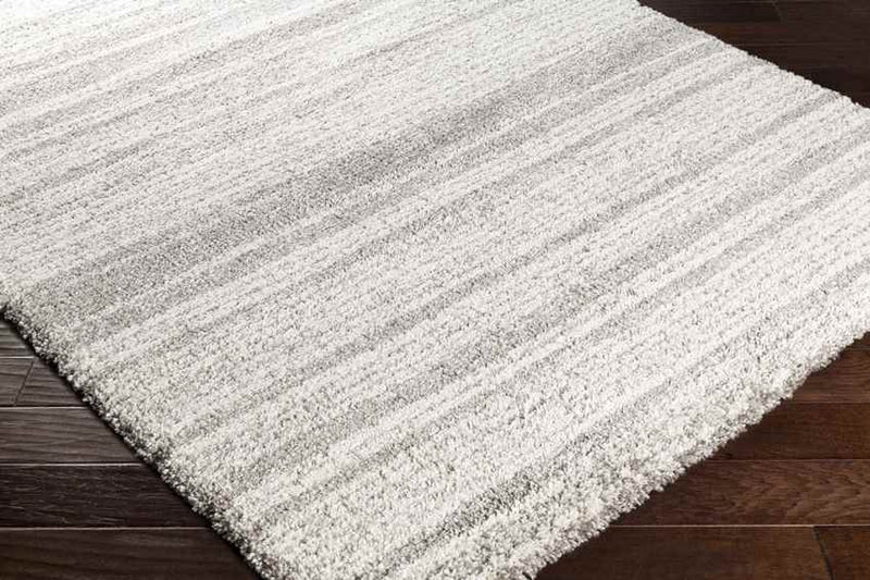 Gaston Modern Taupe Area Rug