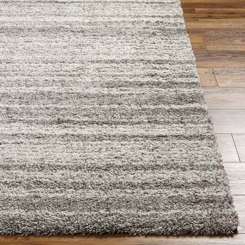 Gaston Modern Taupe Area Rug