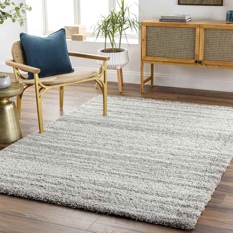 Gaston Modern Taupe Area Rug