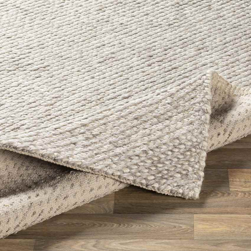 Jasper Modern Taupe Area Rug