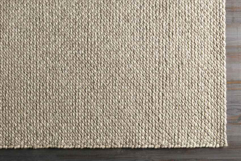 Jasper Modern Taupe Area Rug