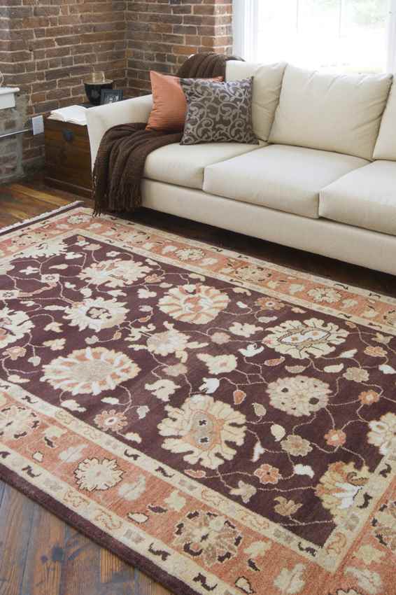 Adamsville Traditional Brown/Tan Area Rug