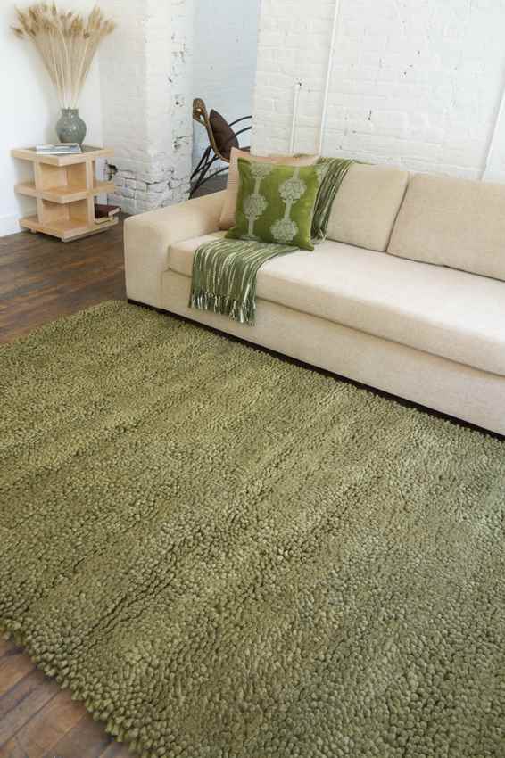 Geron Modern Green Area Rug