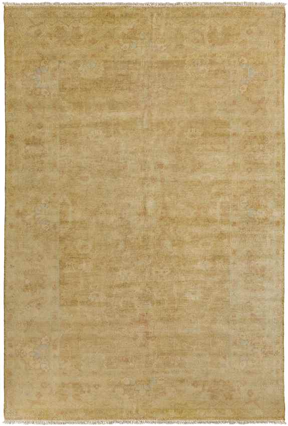 Ashburn Traditional Tan Area Rug