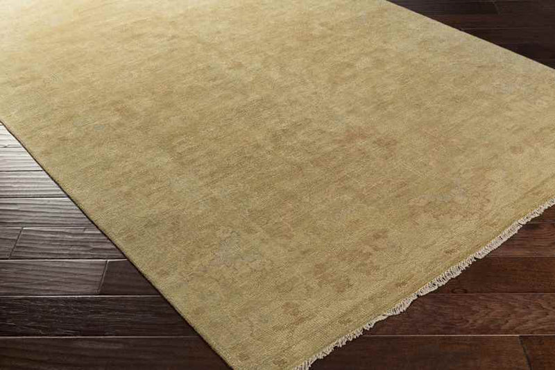 Ashburn Traditional Tan Area Rug