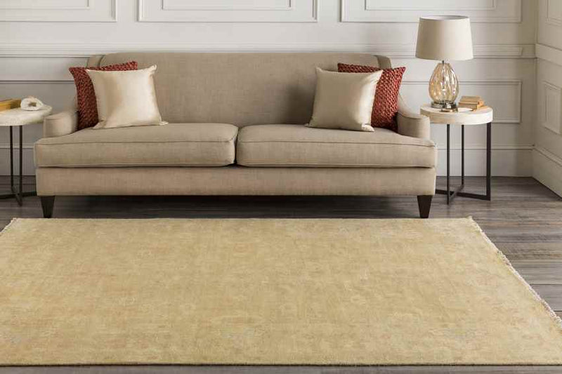 Ashburn Traditional Tan Area Rug