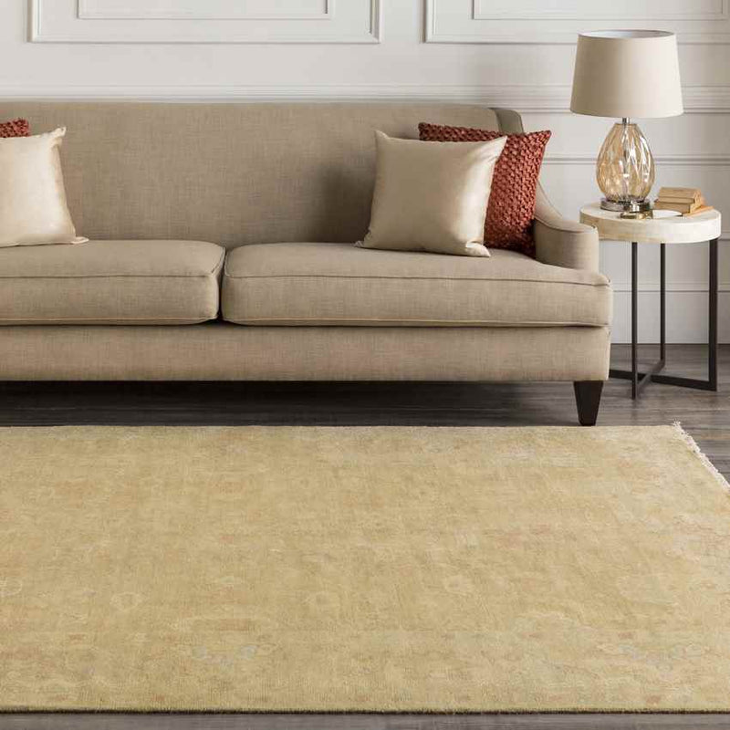 Ashburn Traditional Tan Area Rug