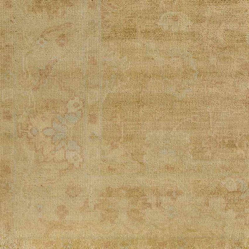 Ashburn Traditional Tan Area Rug