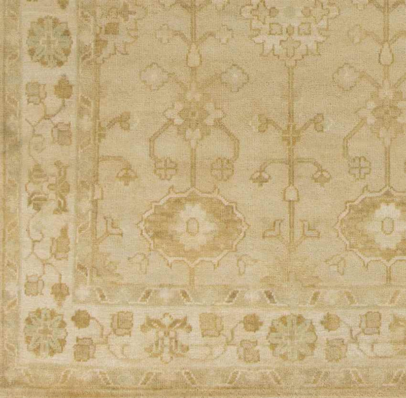 Taranto Traditional Beige Area Rug