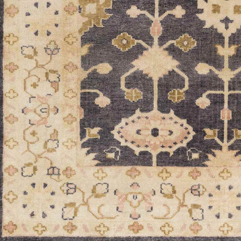 Taranto Traditional Black/Gold Area Rug