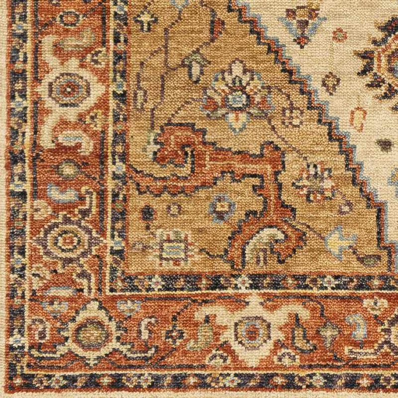 Lauren Traditional Burnt Orange Area Rug