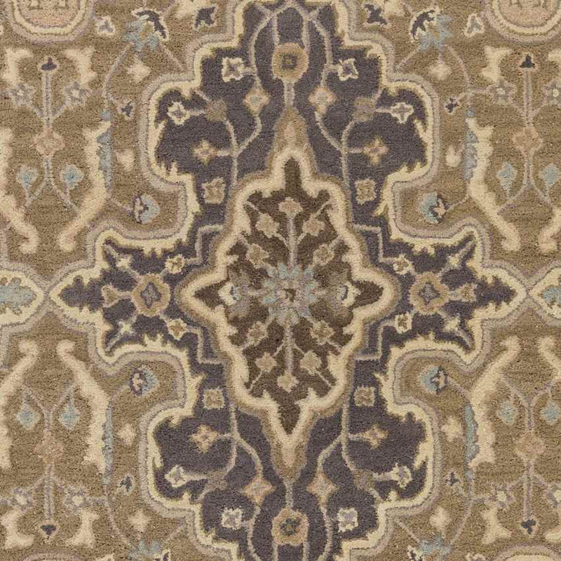 Leala Traditional Taupe Area Rug