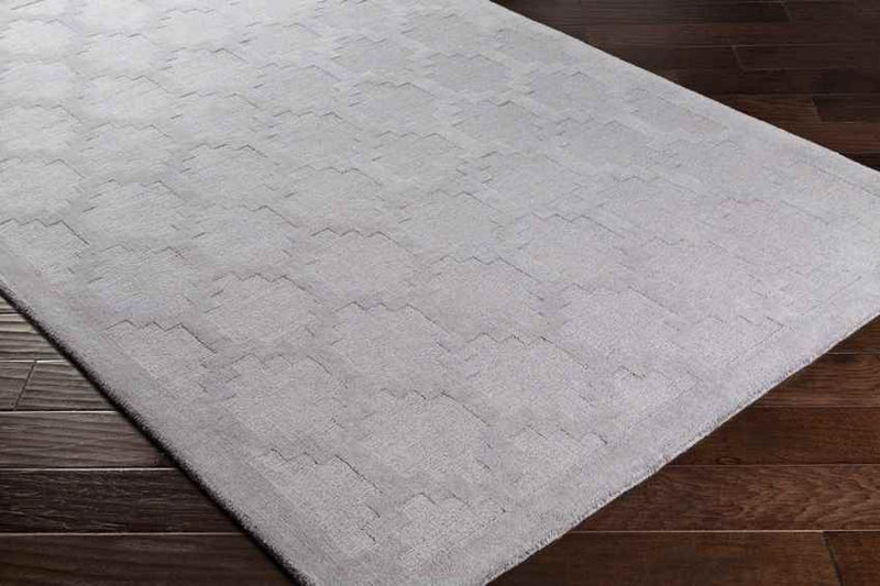 Ames Modern Cool Gray Area Rug