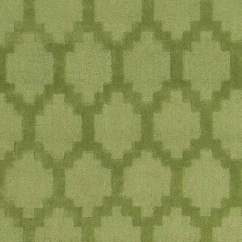 Ames Modern Green Area Rug