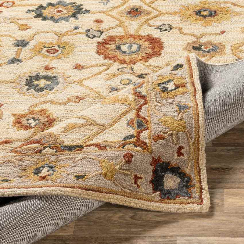 Mardi Traditional Taupe Area Rug