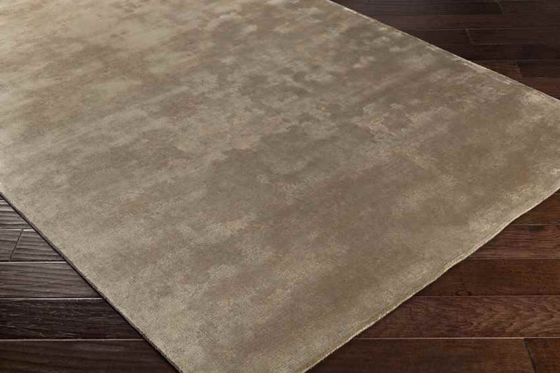 Salene Modern Tan Area Rug