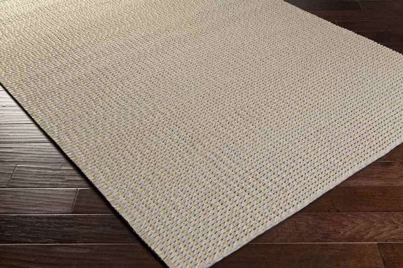 Bradford Modern Beige Area Rug