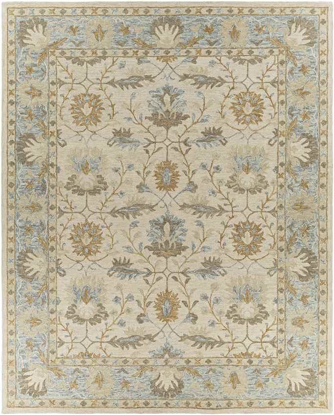 Odo Traditional Light Gray Area Rug