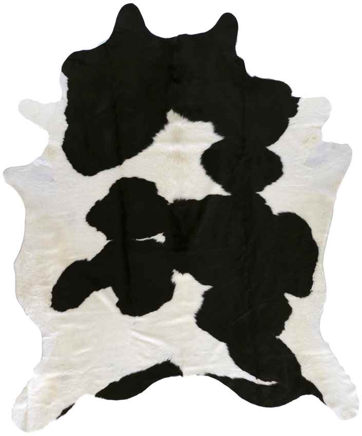 Percy Rustic Black Area Rug