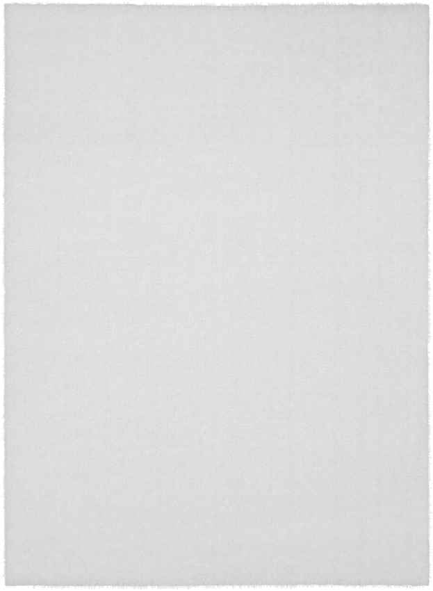 Pierre Modern White Area Rug