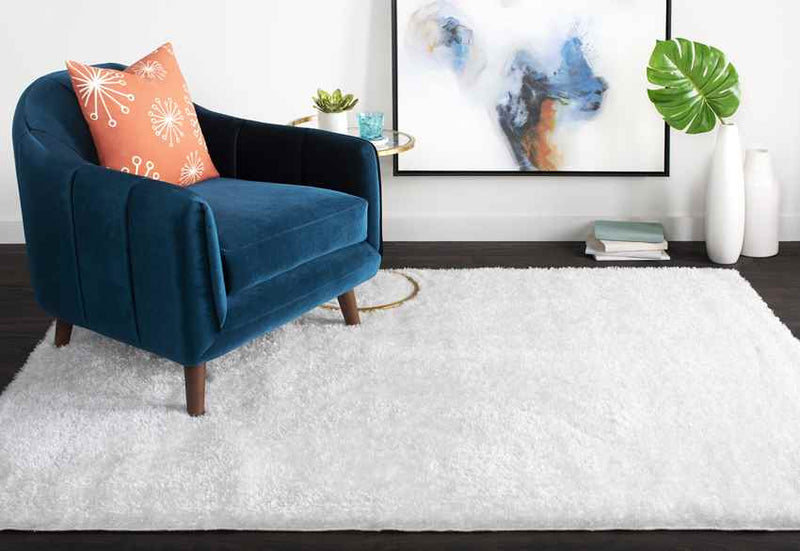 Pierre Modern White Area Rug