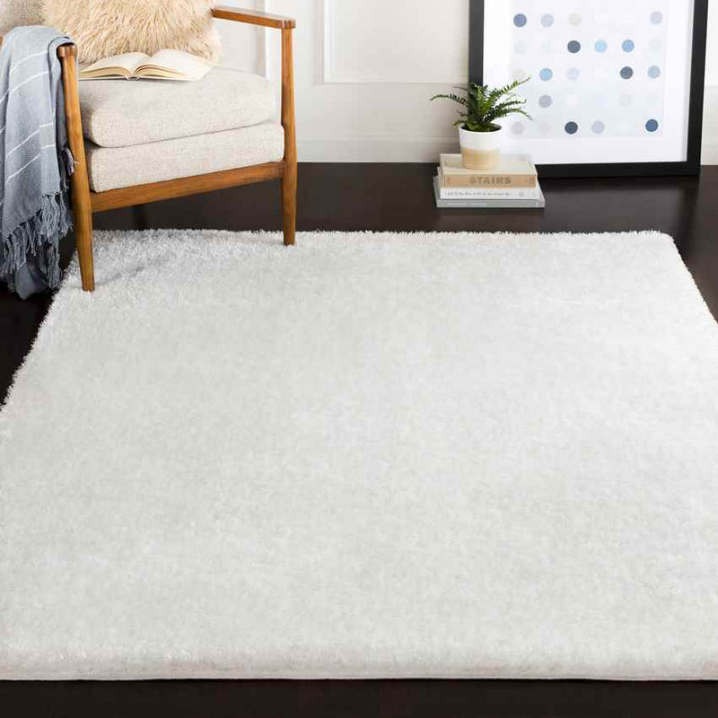 Pierre Modern White Area Rug