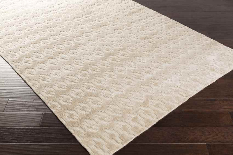 Cedarville Modern Ivory Area Rug