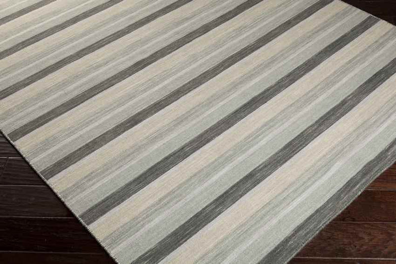 Clarkdale Modern Light Gray Area Rug