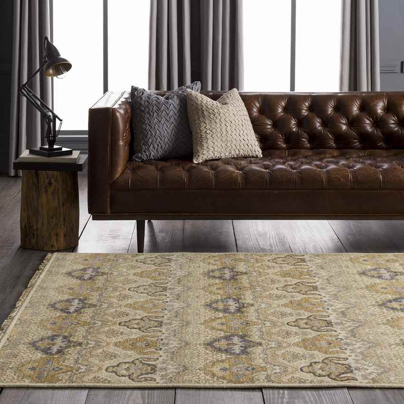 Sigourney Traditional Gray/Cream Area Rug