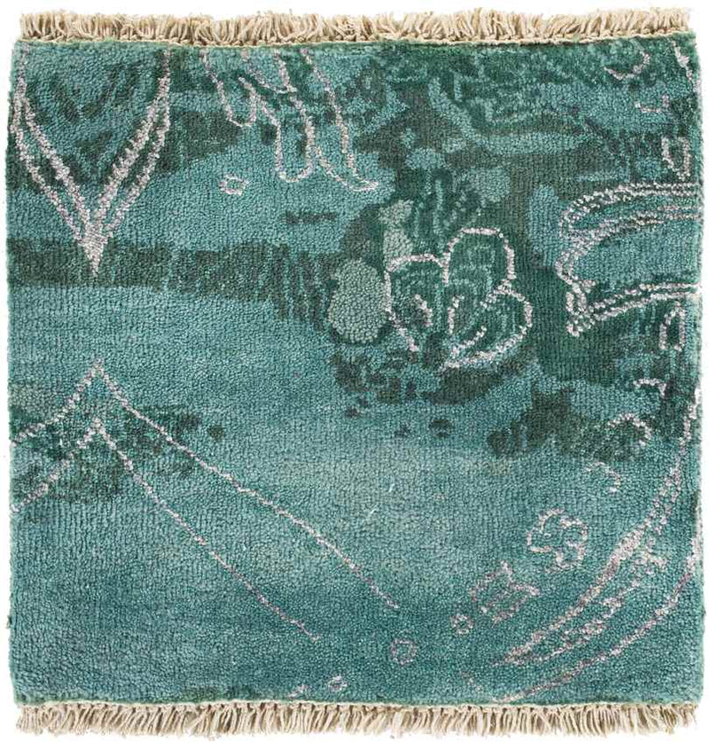 Remi Traditional Aqua Area Rug