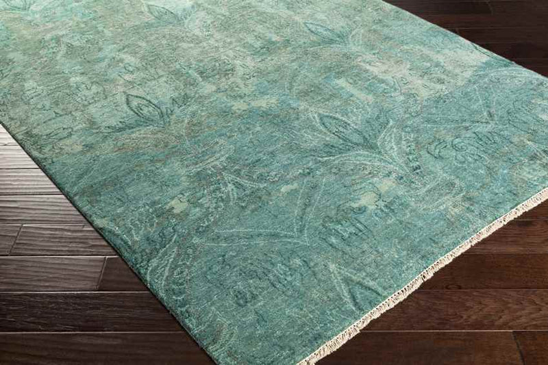 Remi Traditional Aqua Area Rug