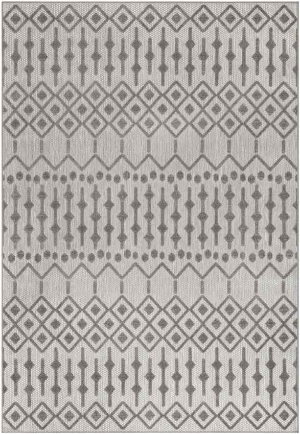 Rupert Global Light Gray Area Rug