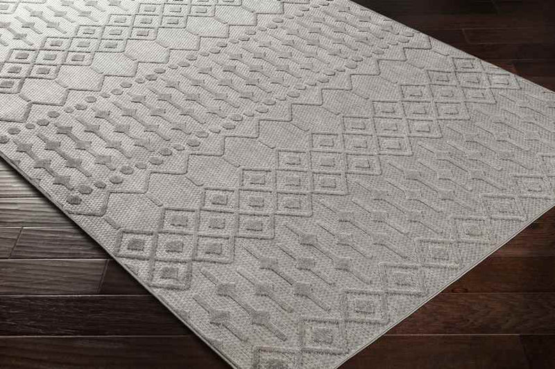 Rupert Global Light Gray Area Rug